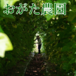 Thumbnail of new posts 037