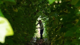 Thumbnail of post image 092